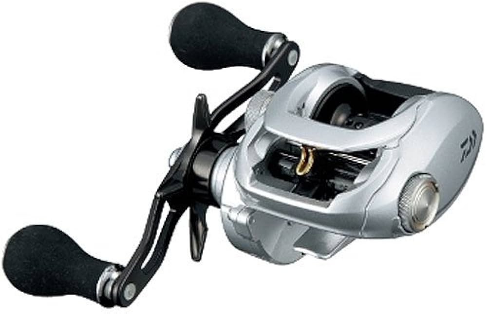 Amazon | ダイワ(Daiwa) 両軸リール 14 スパルタン TW 150H | ダイワ